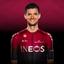 POELS Wout photo