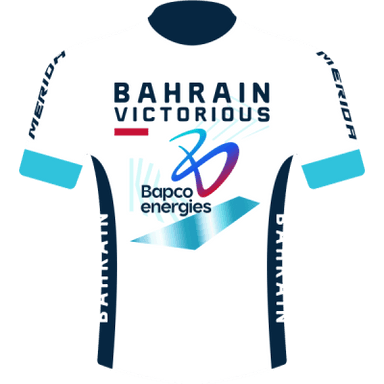 BAHRAIN VICTORIOUS photo