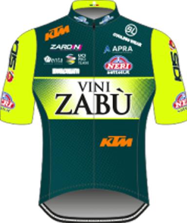 VINI ZABU KTM photo