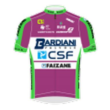 BARDIANI CSF FAIZANE' photo