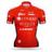 COGEAS METTLER LOOK PRO CYCLING TEAM maillot image