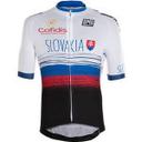 SLOVAKIA maillot image