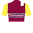 TEAM SOLUTION TECH - VINI FANTINI maillot image