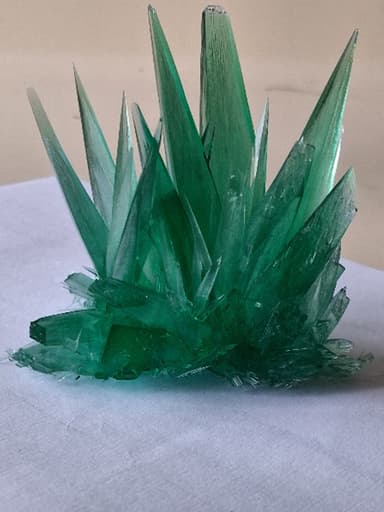 Dr_Don_Pedalada avatar