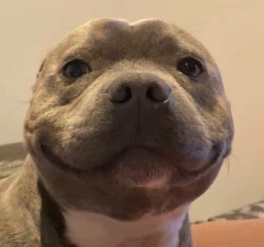 CyclingFresher avatar