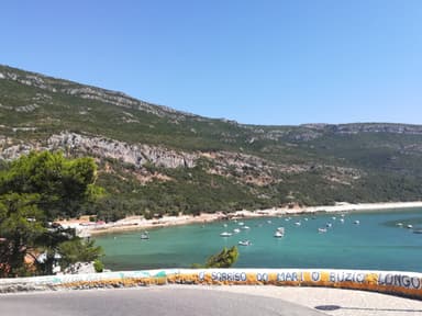 DiogoSaldanha avatar