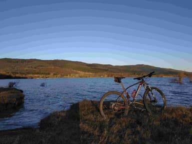 miguelpelaez69 avatar