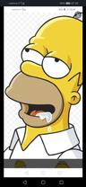 Bottaccia avatar
