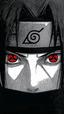 botas94 avatar