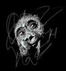 DCantero avatar