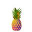 Pineapple_cat avatar